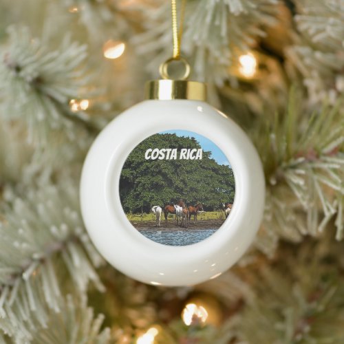 Horses by the water _ Costa Rica  Ceramic Ball Christmas Ornament