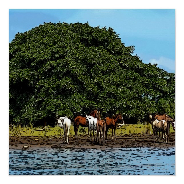 Horses by the water - Costa Rica Poster (Front)