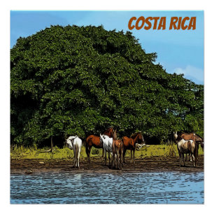 Horses by the water - Costa Rica Poster