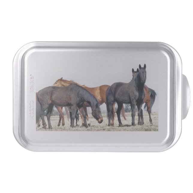 HORSES CAKE PAN (Front)