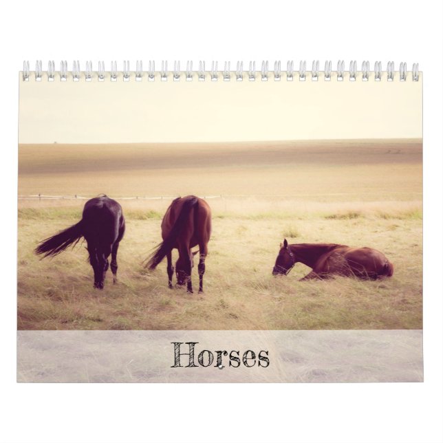 Horses Calendar (Cover)