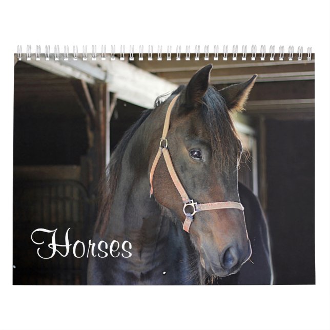 Horses Calendar (Cover)