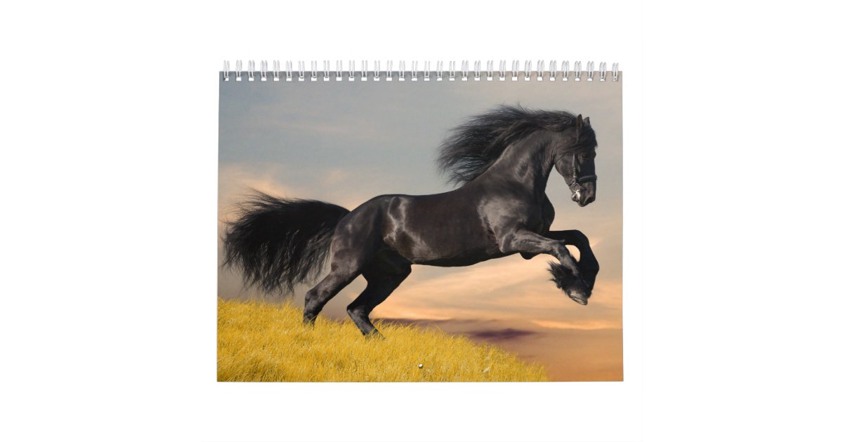 Horses Calendar | Zazzle