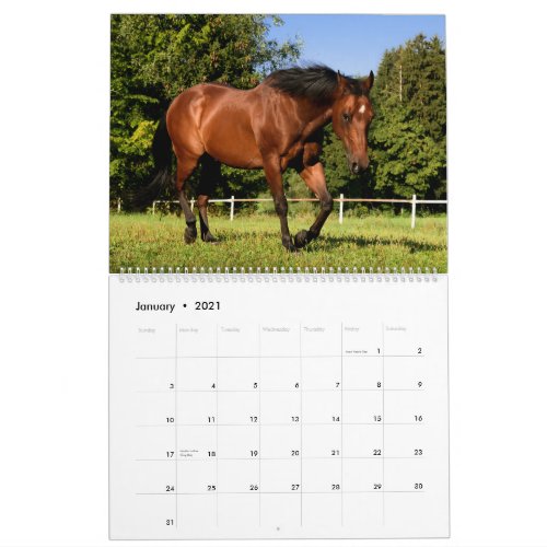 Horses Calendar