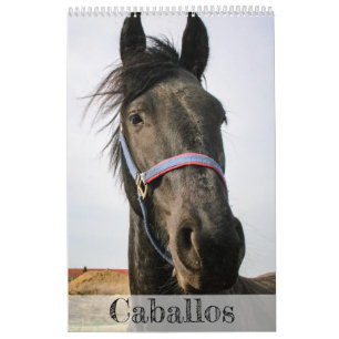 Horses Calendar... Calendar