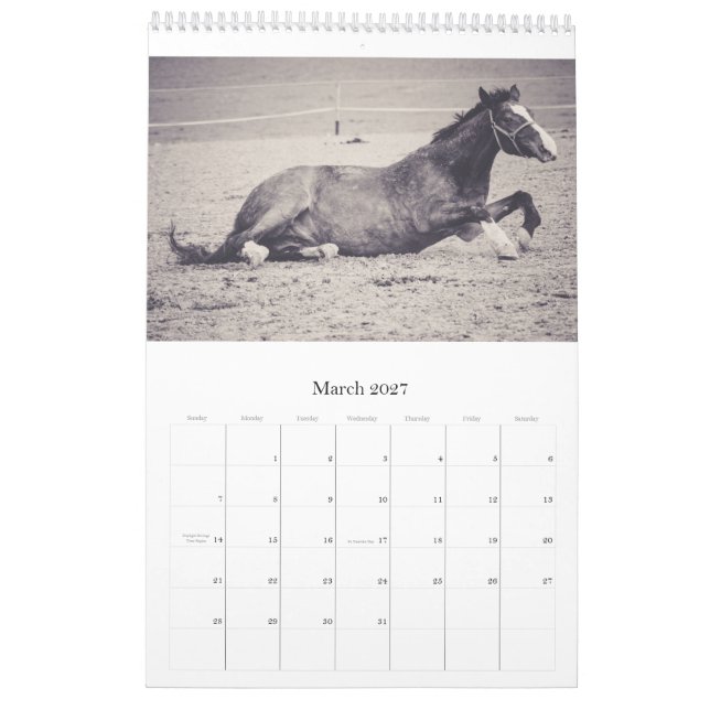Horses Calendar... Calendar (Mar 2027)