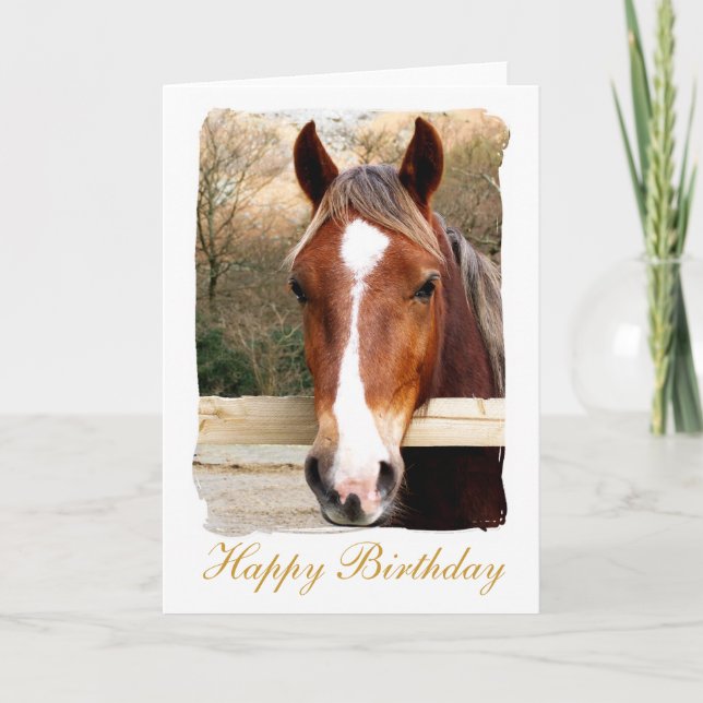 HORSES CARD (Front)