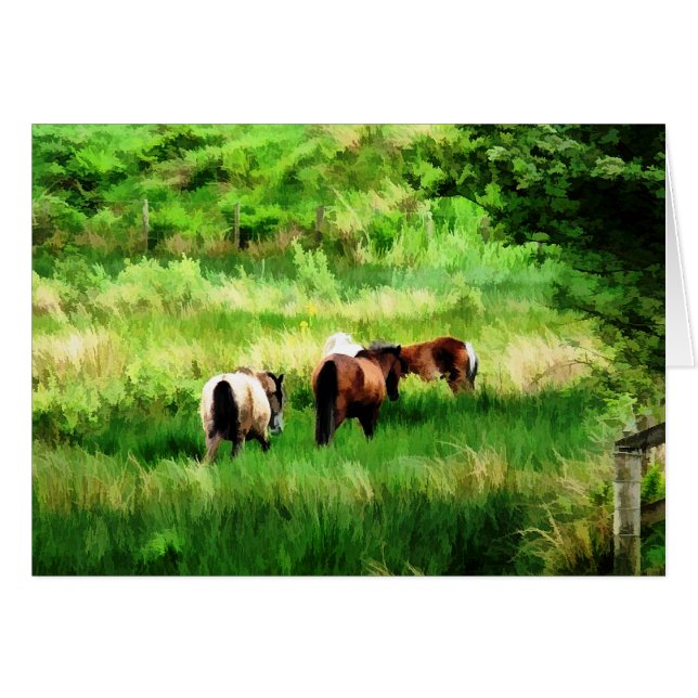 HORSES CARD (Front Horizontal)