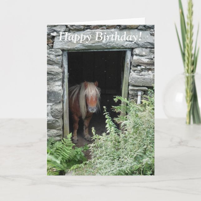 HORSES CARD (Front)