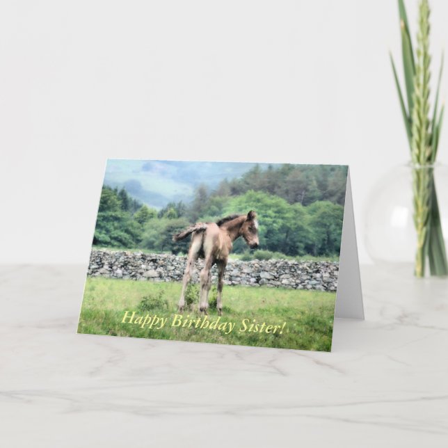 HORSES CARD (Front)
