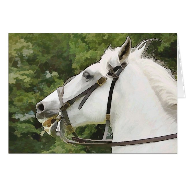 HORSES CARD (Front Horizontal)