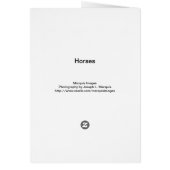 Horses Cards (Back)