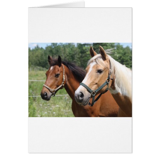 Horses Cards (Front)