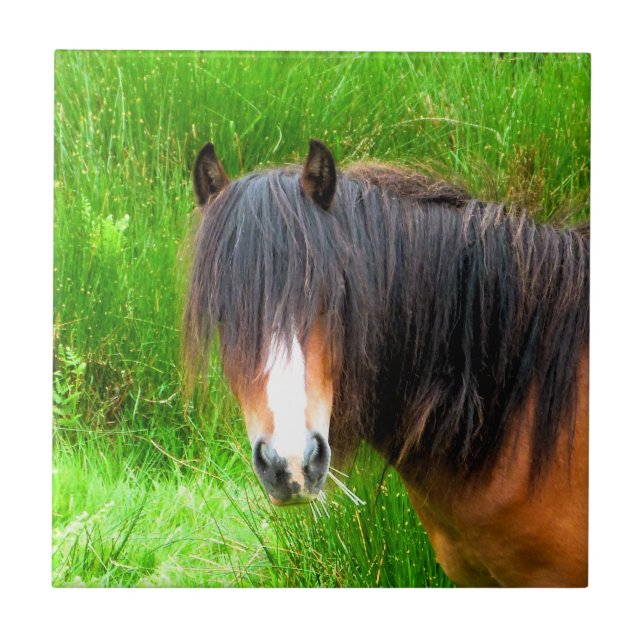 HORSES CERAMIC TILE (Front)