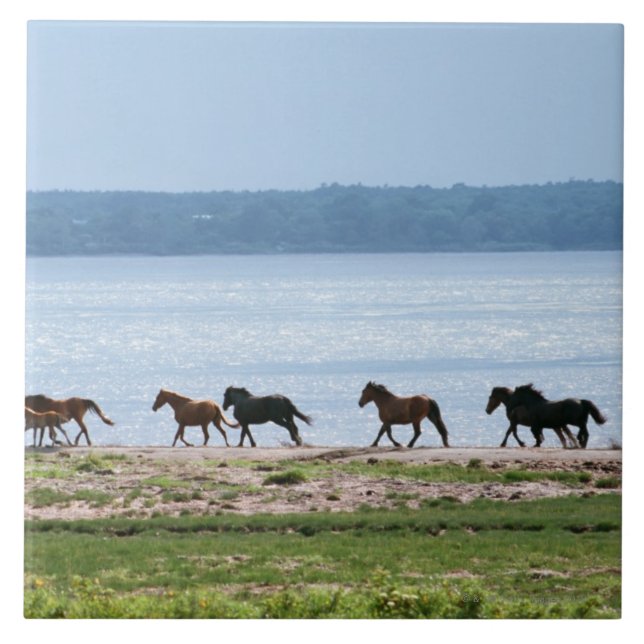 Horses Ceramic Tile (Front)
