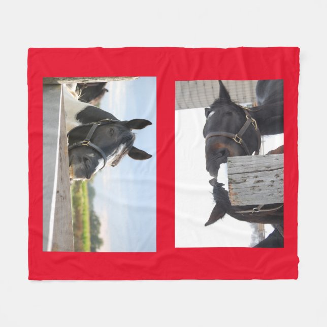 Horses Chewing on a Fence Fleece Blanket (Front (Horizontal))