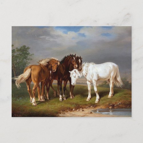 Horses circa 1864 postcard