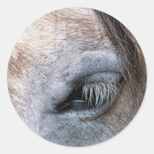 HORSES CLASSIC ROUND STICKER