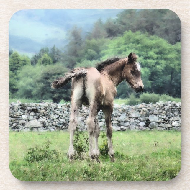 HORSES COASTER (Front)