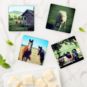 Horses Coaster Set