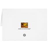 Horses - Colorado Beauties (Back Horizontal)