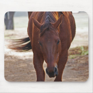 Horses coming home mouse pad