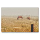 Horses Country Rustic Decoupage