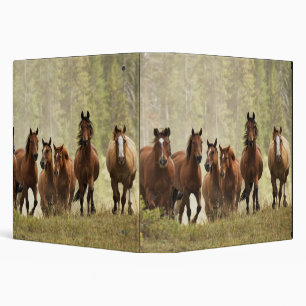 Horses cresting small hill during roundup 3 ring binder