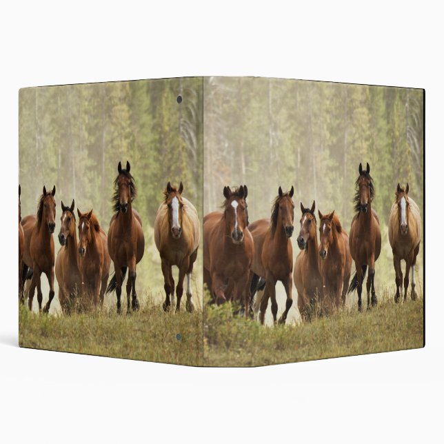 Horses cresting small hill during roundup 3 ring binder (Background)