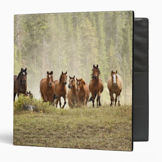 Horses cresting small hill during roundup, 3 ring binder (Front/Inside)