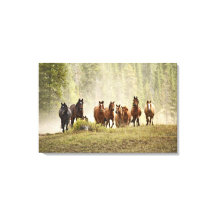 Horses cresting small hill during roundup,