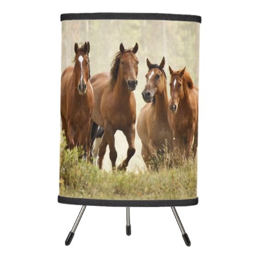 Horses cresting small hill during roundup tripod lamp