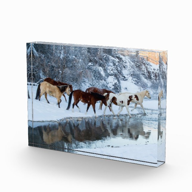 Horses Crossing the Creek Photo Block (Right)