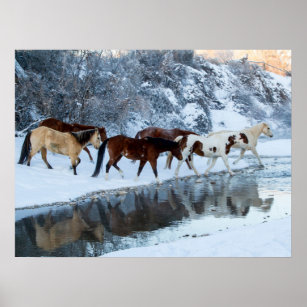 Horses Crossing the Creek Poster