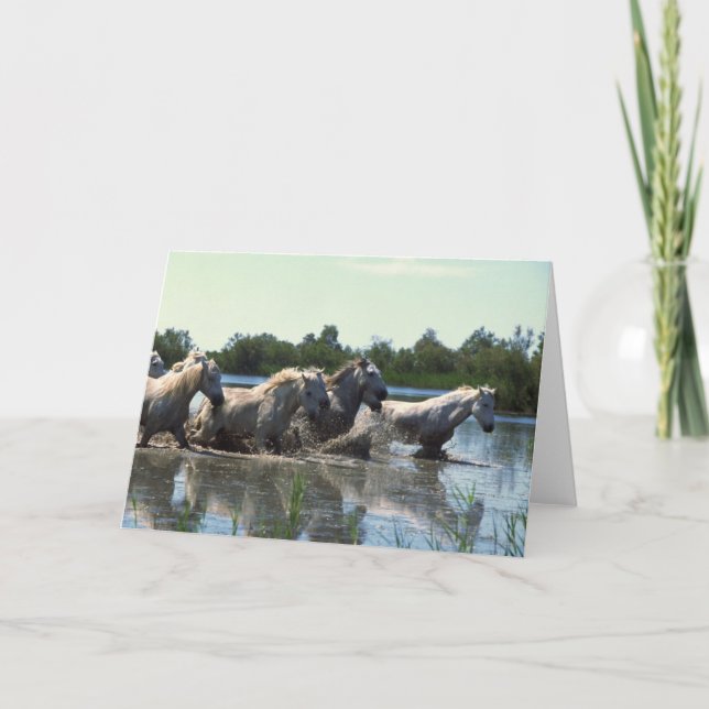 Horses Crossing Water Card (Front)