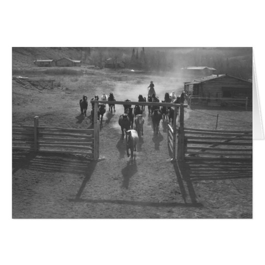 Horses entering a corral cards (Front Horizontal)