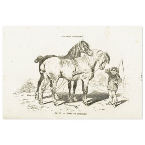 Horses Ephemera Decoupage Vintage French Boy Tissue Paper