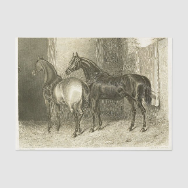 Horses Ephemera Decoupage Vintage French  Tissue Paper (Front)