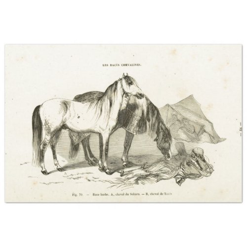 Horses Ephemera Decoupage Vintage French Tissue Paper