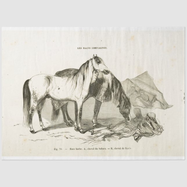 Horses Ephemera Decoupage Vintage French Tissue Paper (Front)