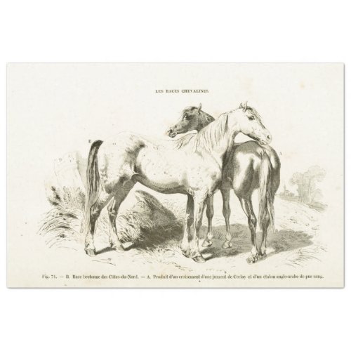 Horses Ephemera Decoupage Vintage French  Tissue Paper