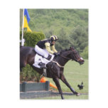 Horses Eventing  Postcard