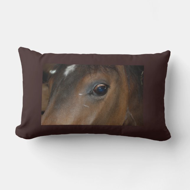 Horses Eye Lumbar Pillow (Front)
