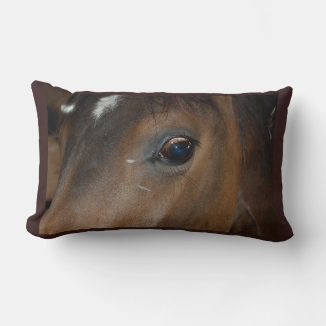 Horses Eye Lumbar Pillow (Front)