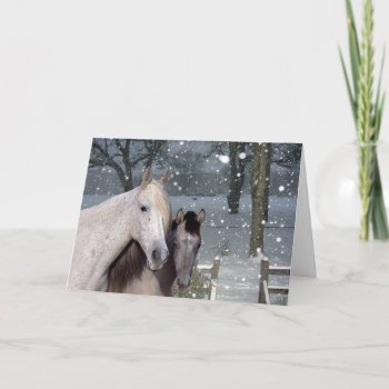 Horses Falling Snow Greeting Card by horsesense at Zazzle