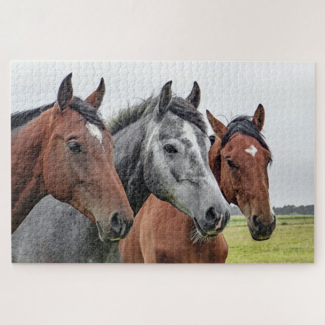 Horses Farm Animal Nature Jigsaw Puzzle (Horizontal)