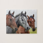 Horses Farm Animal Nature Jigsaw Puzzle<br><div class="desc">This nature themed jigsaw puzzle features three horses in a pasture looking at the camera #horse #horses #animal #animals #farm #farmlife #nature #landscape  #outdoor #landscape #jigsaw #puzzle #jigsawpuzzle #gifts #gift #fun #stockingstuffers #games</div>