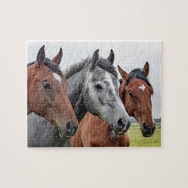 Horses Farm Animal Nature Jigsaw Puzzle (Horizontal)