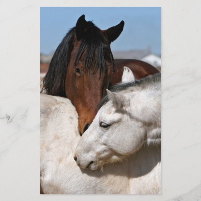 horses farm ranch equine western sports love flyer (Front)