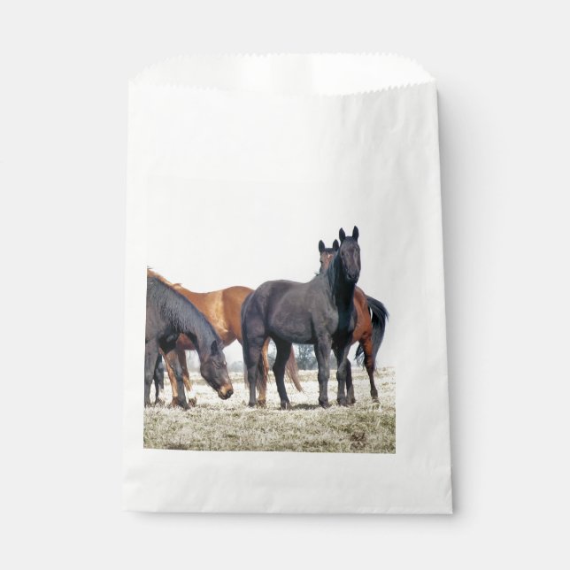 HORSES FAVOR BAG (Front)